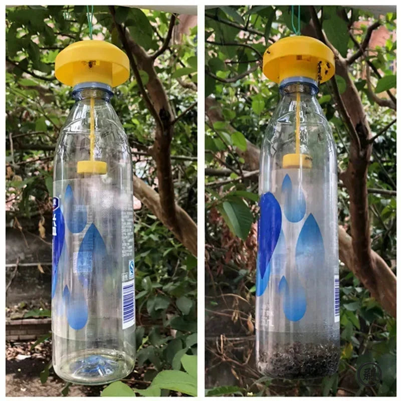 Insect Catcher - Home and Garden - Hanging or Tabletop